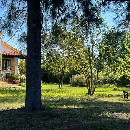 Quinta Dos Trevos - Artes E Oficios Villa Ladoeiro Ngoại thất bức ảnh