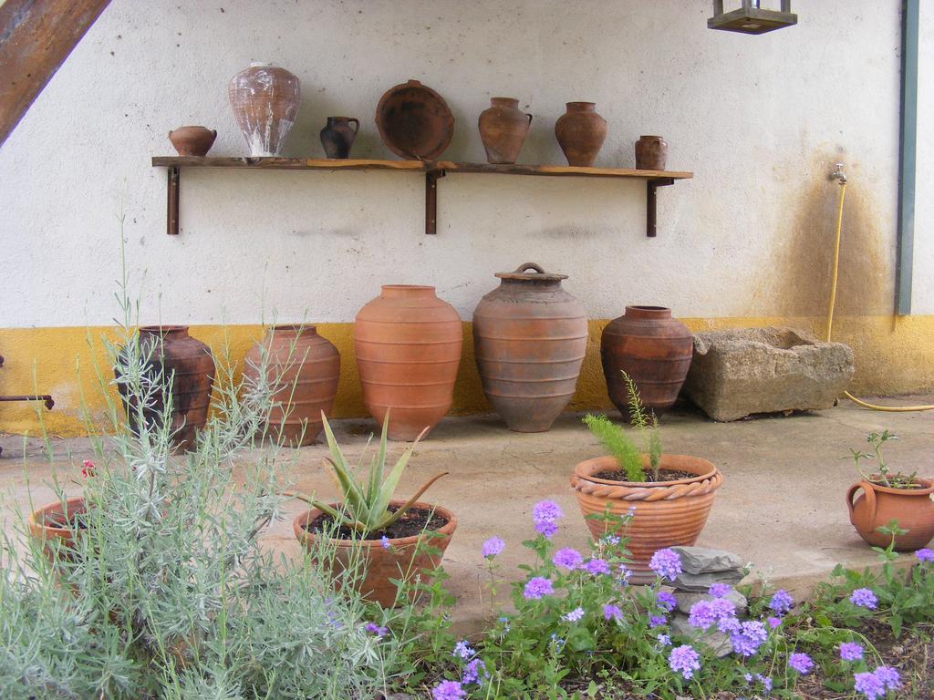 Quinta Dos Trevos - Artes E Oficios Villa Ladoeiro Ngoại thất bức ảnh